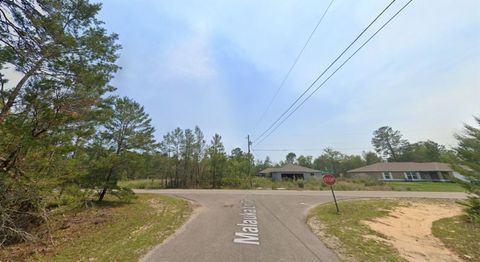 Tiny photo for Malauka Lane, Ocklawaha, FL 32179 (MLS # D6147528)