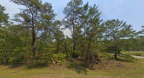Tiny photo for Malauka Lane, Ocklawaha, FL 32179 (MLS # D6147528)