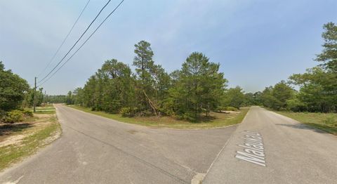 Tiny photo for Malauka Lane, Ocklawaha, FL 32179 (MLS # D6147528)