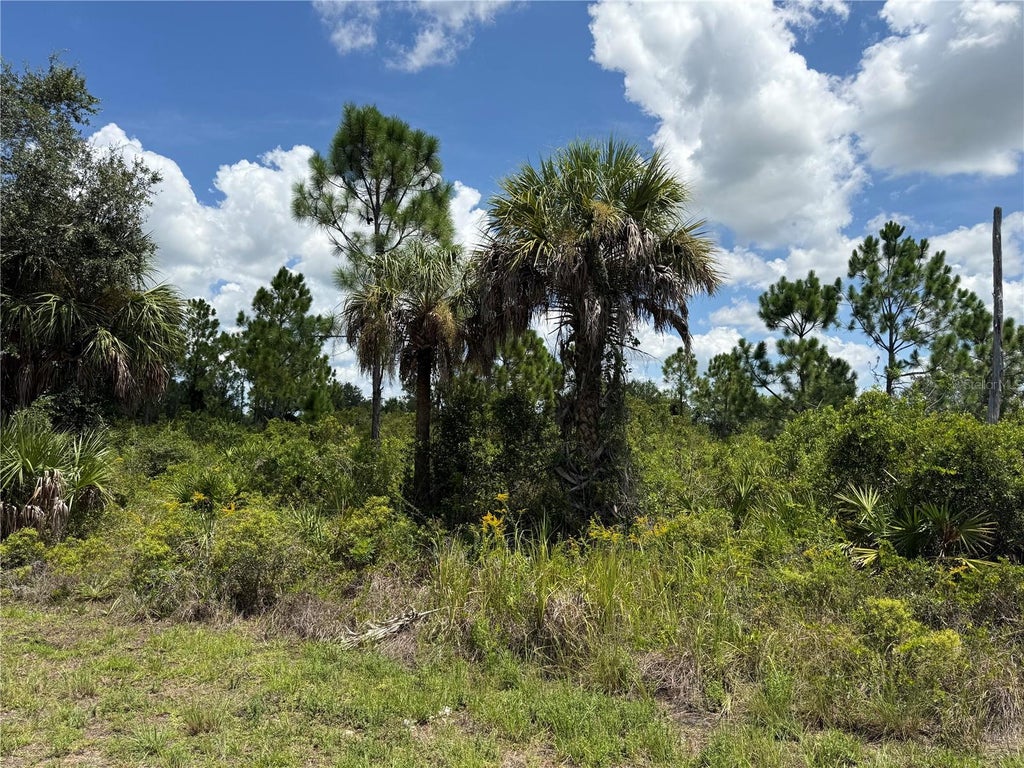 Photo of 356 Lakewood Lane, Port Charlotte, FL 33953 (MLS # TB8541206)