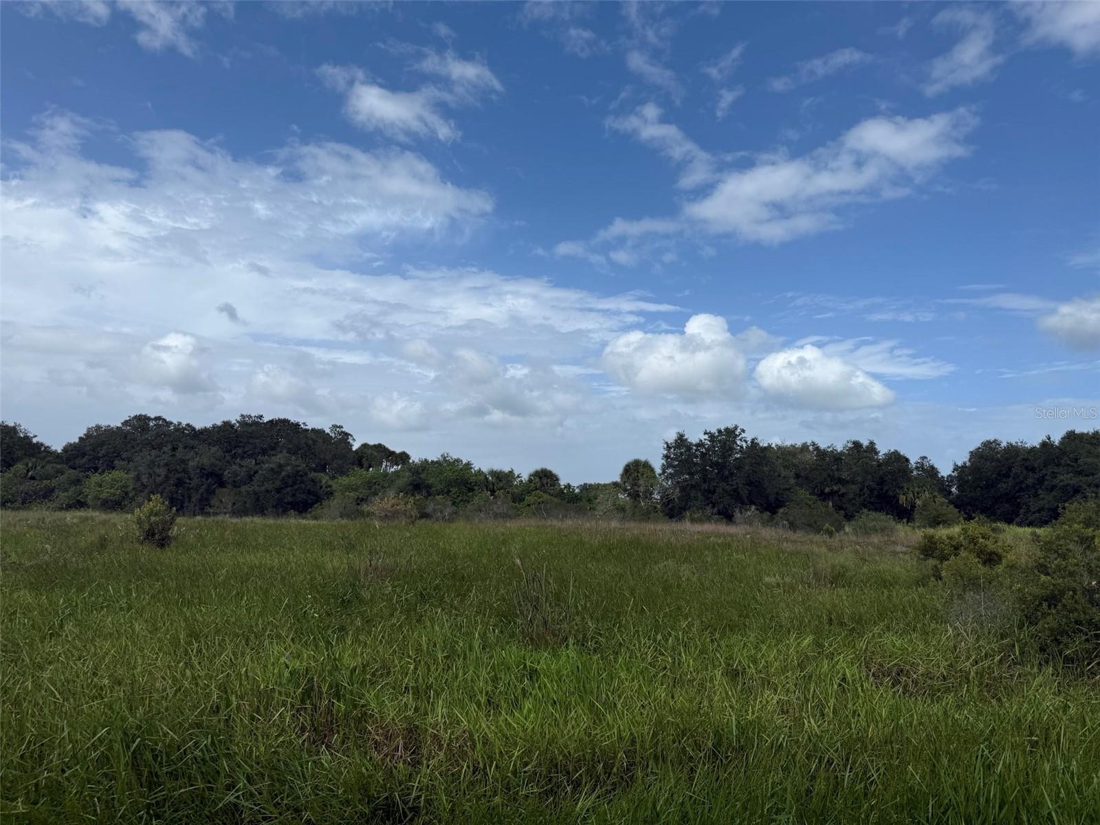 SOUTHERN COLONIZATION CO - Land