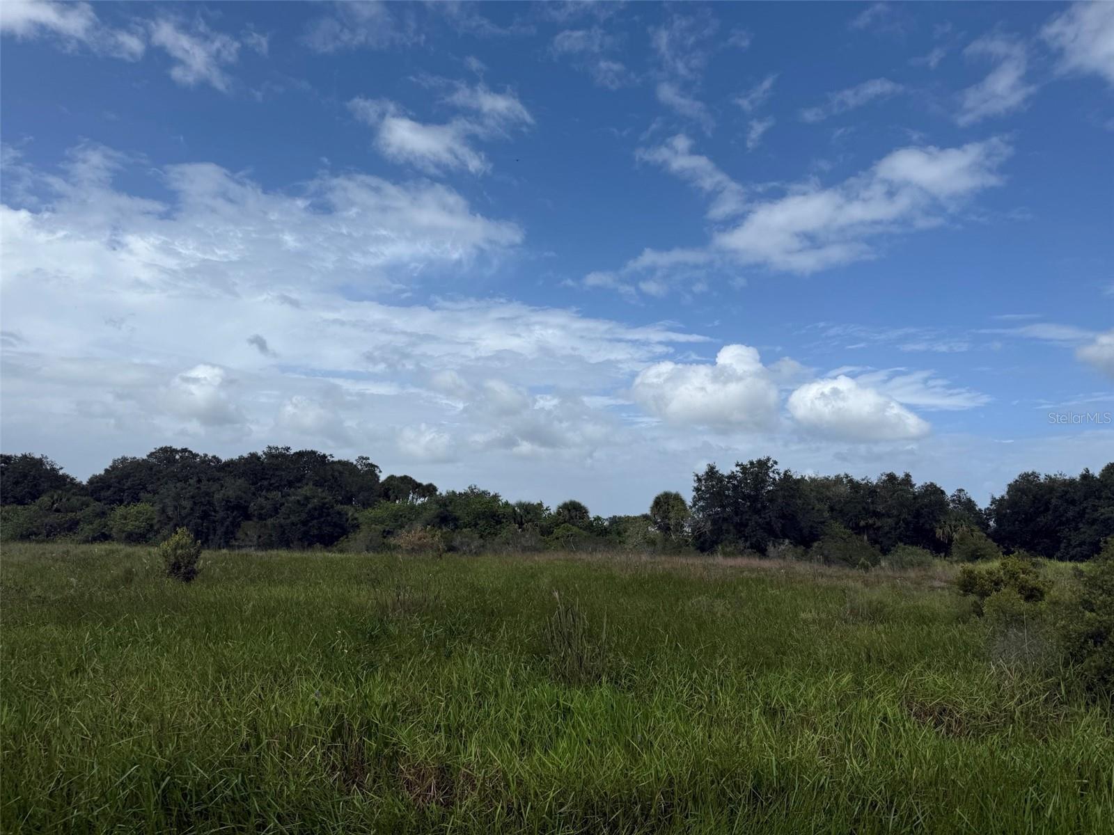 SOUTHERN COLONIZATION CO - Land