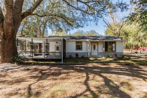 A home in TEMPLE TERRACE