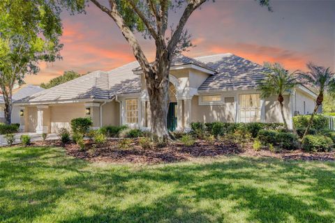 Photo of 9116 Woodridge Run Drive, Tampa, FL 33647 (MLS # TB8436703)
