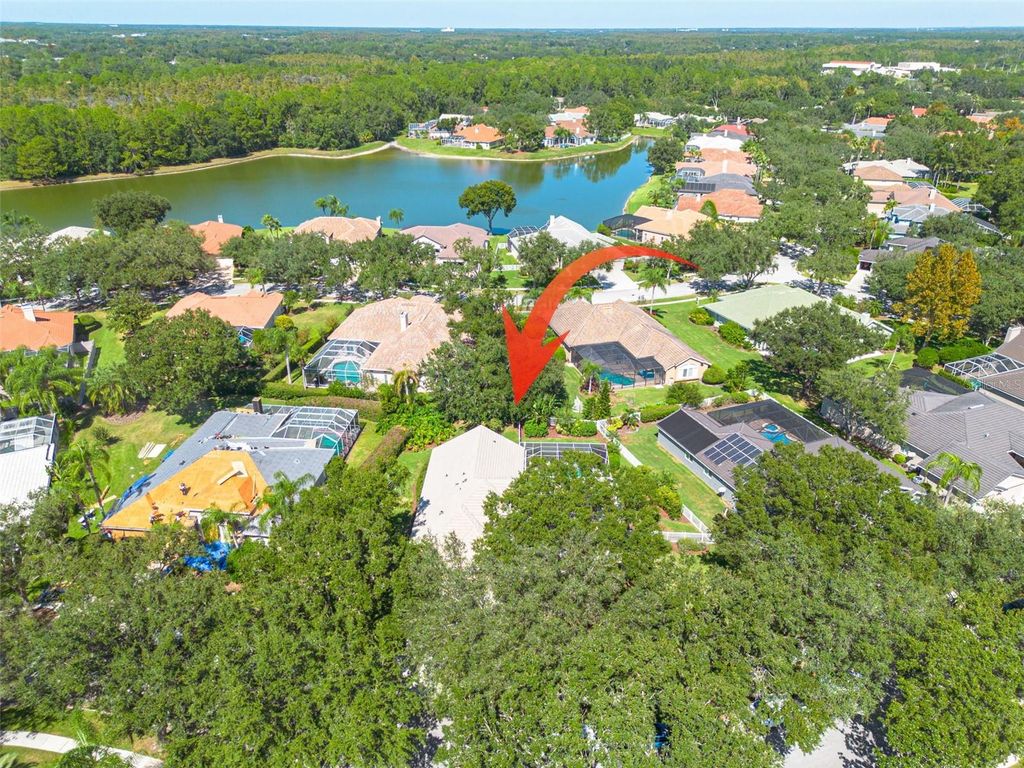 Photo of 9116 Woodridge Run Drive, Tampa, FL 33647 (MLS # TB8436703)