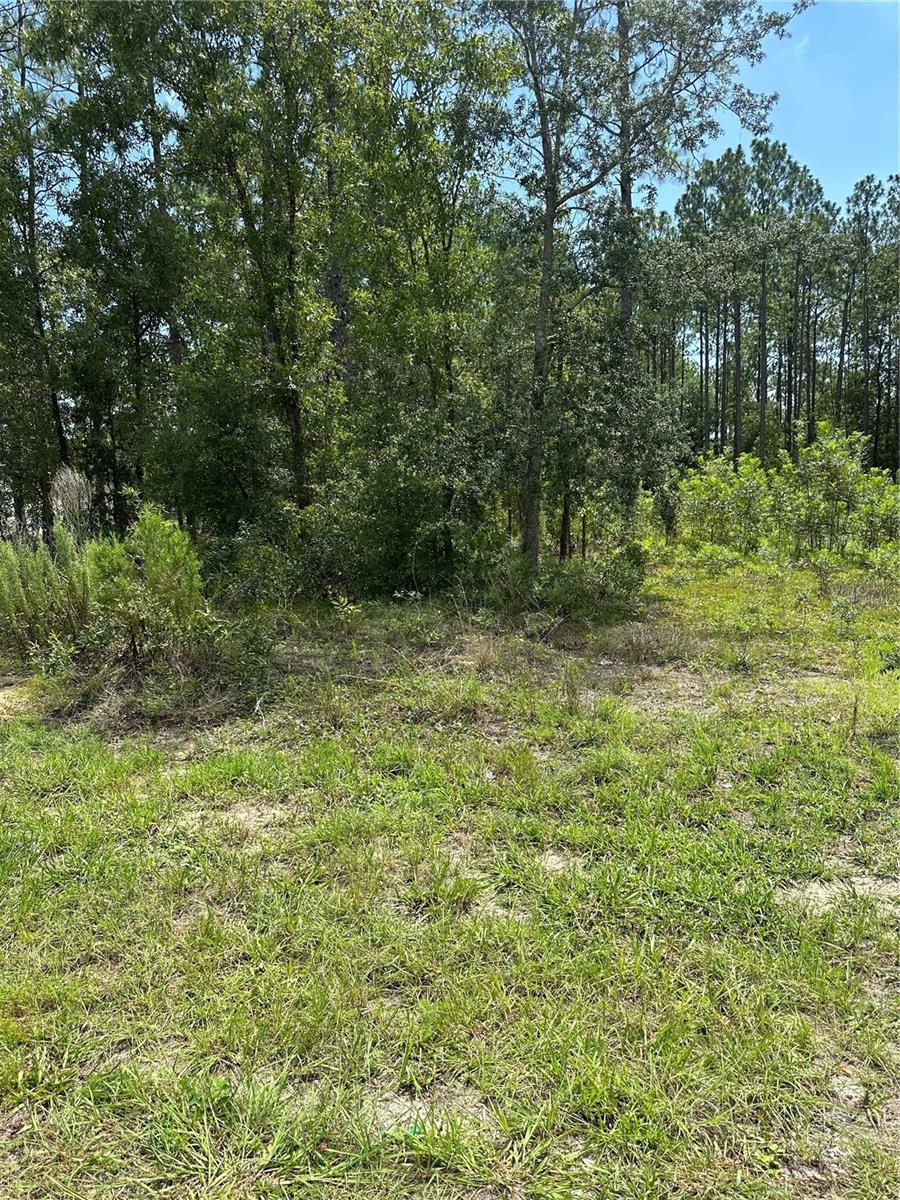 CLASSIC HILLS UN 02 - Land