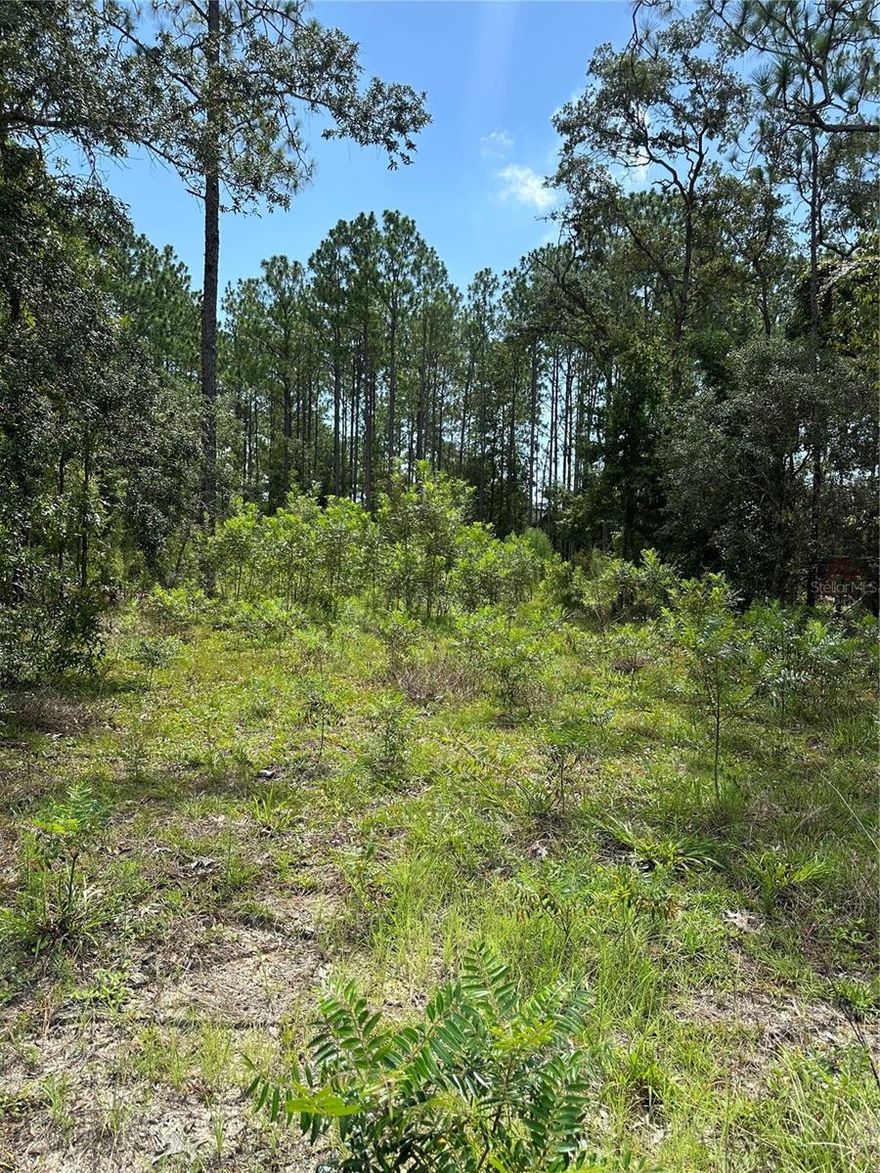 Build your new home on this 3/4 acre lot, conveniently located with access to Ocala and Dunnellon. Rainbow Springs and Crystal River is just a short drive away. R4 zoning.