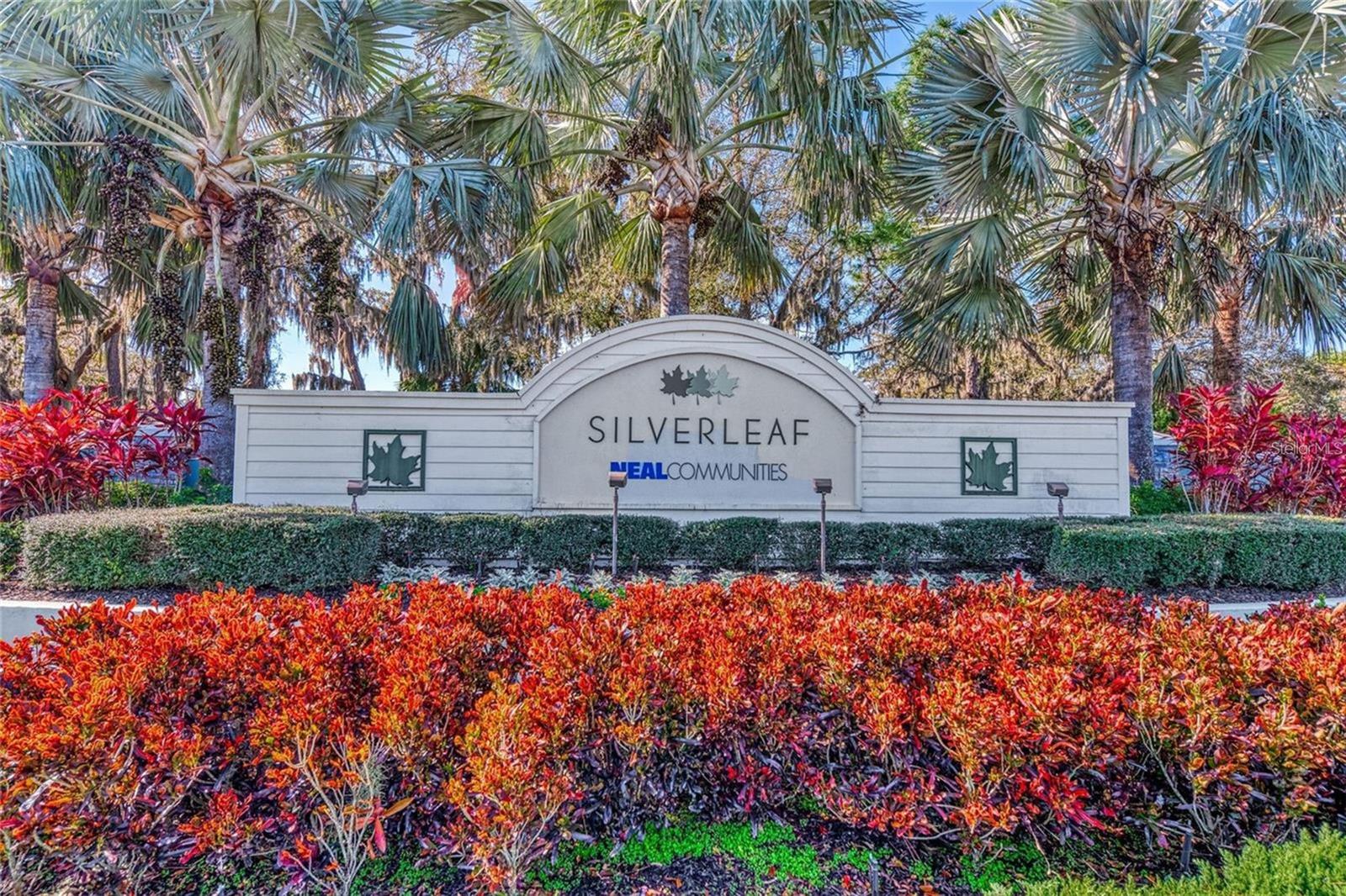 SILVERLEAF PH VI - Residential