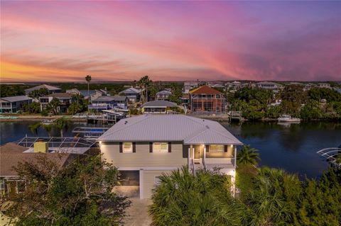 A home in HERNANDO BEACH