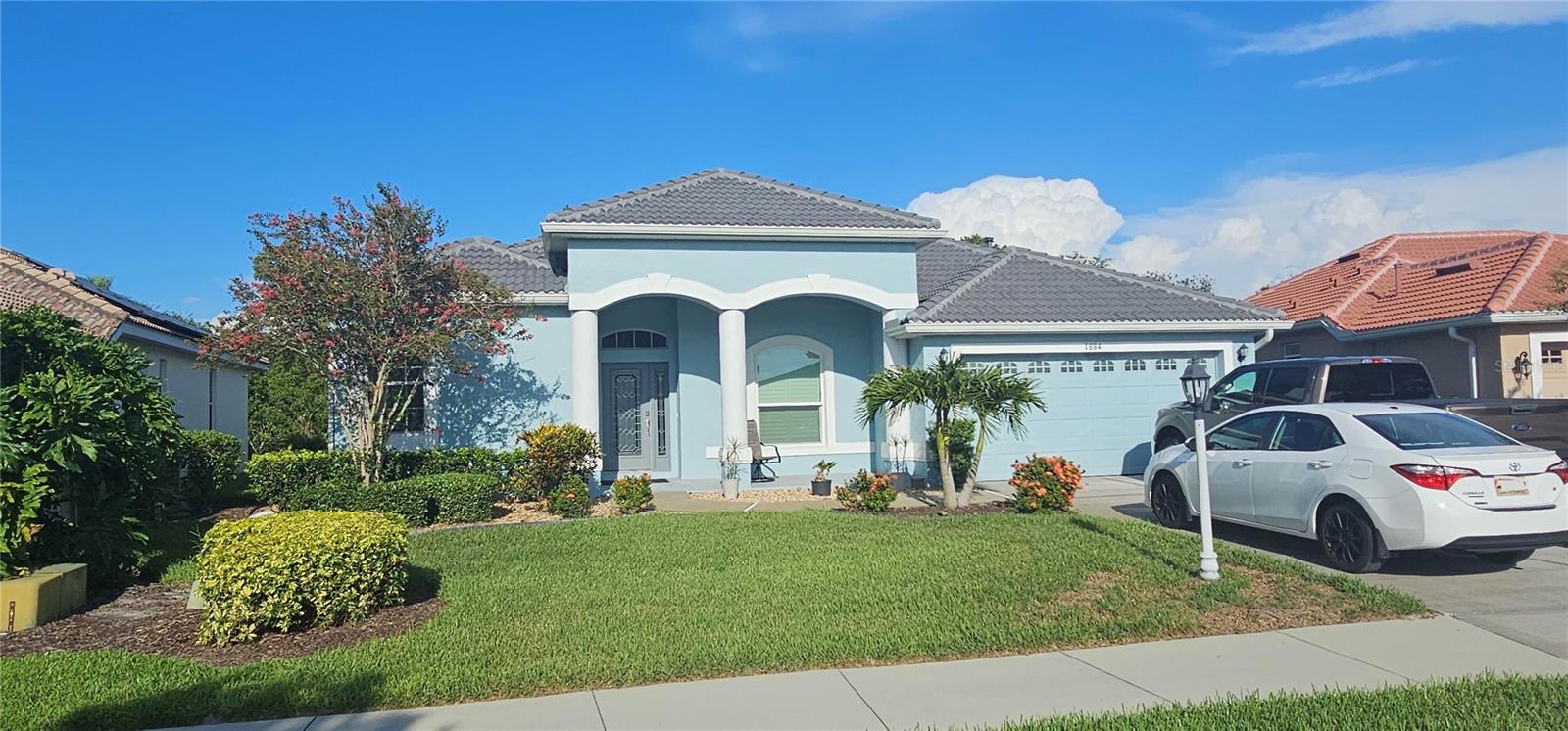 1884 COCONUT PALM CIRCLE