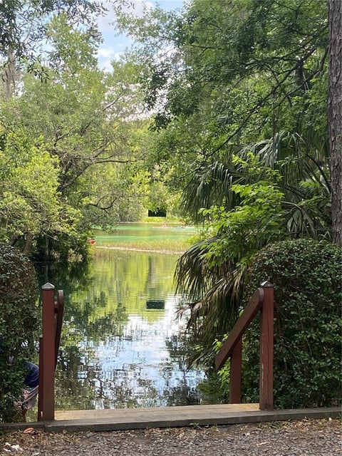 Tiny photo for 28 SW 206 Circle, Dunnellon, FL 34431 (MLS # OM729626)