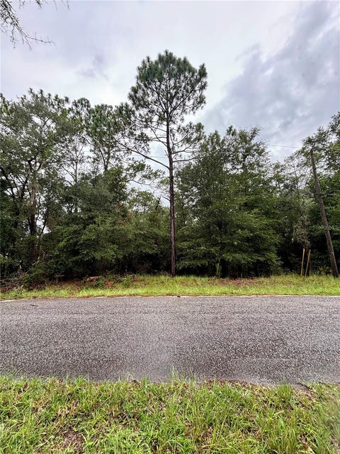 Photo of 28 SW 206 Circle, Dunnellon, FL 34431 (MLS # OM729626)