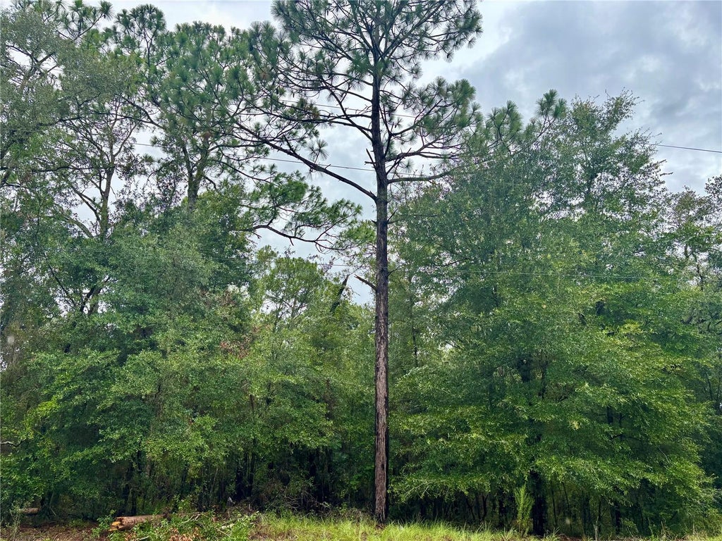 Photo of 28 SW 206 Circle, Dunnellon, FL 34431 (MLS # OM729626)