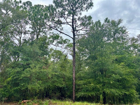 Tiny photo for 28 SW 206 Circle, Dunnellon, FL 34431 (MLS # OM729626)