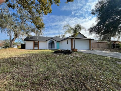 A home in DELTONA