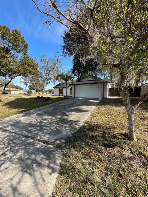 A home in DELTONA