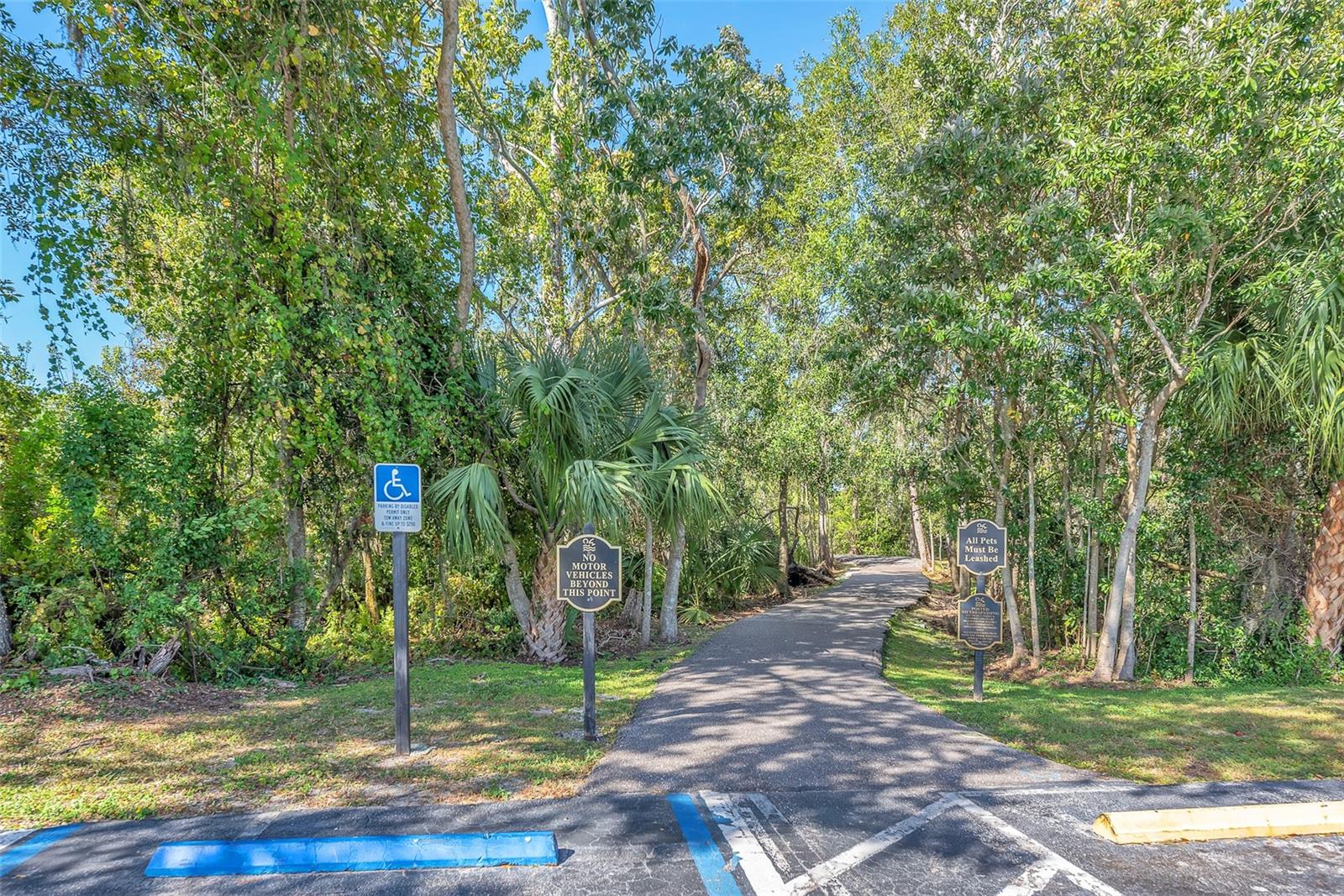 THE PADDOCKS PH II - Residential