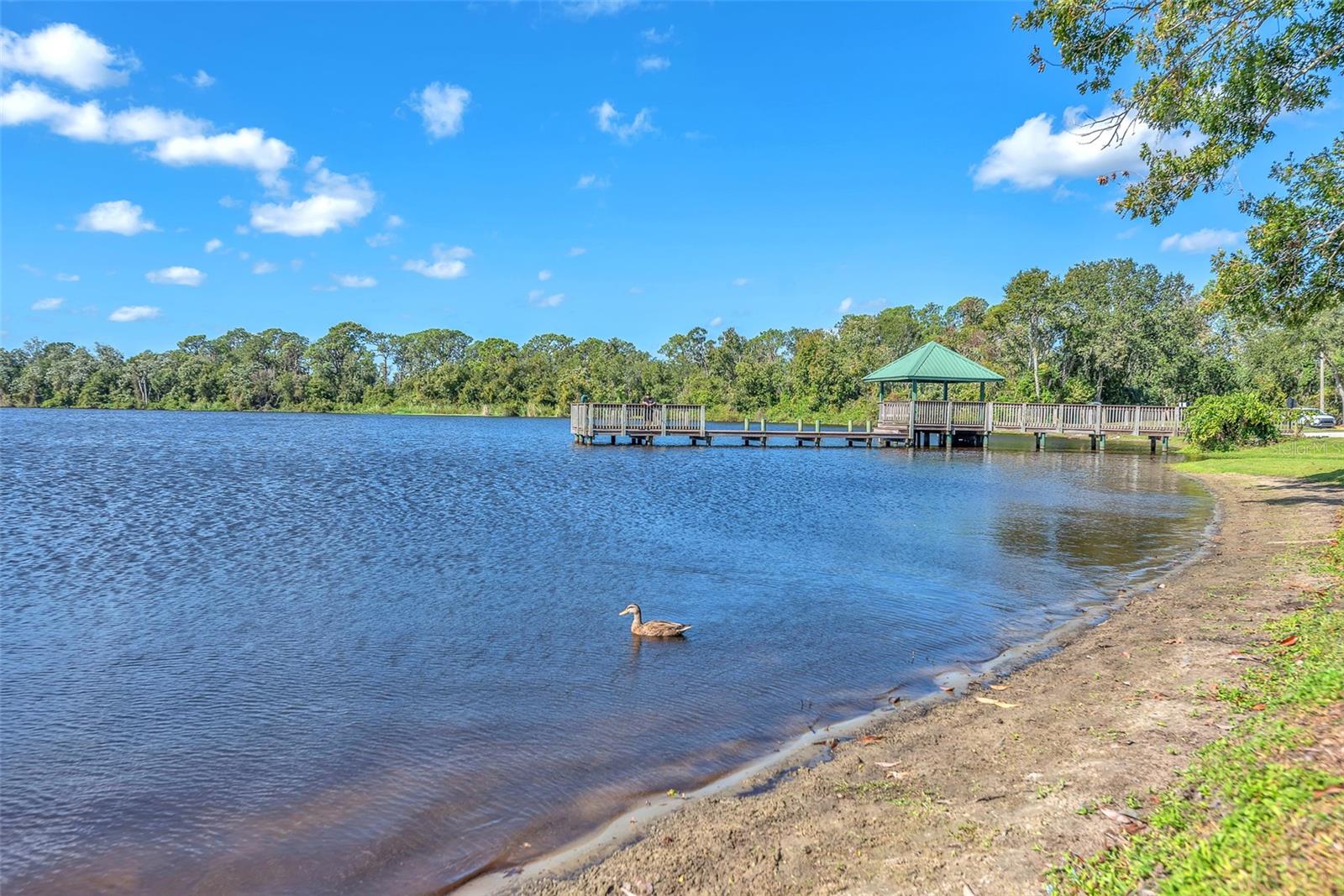 THE PADDOCKS PH II - Residential