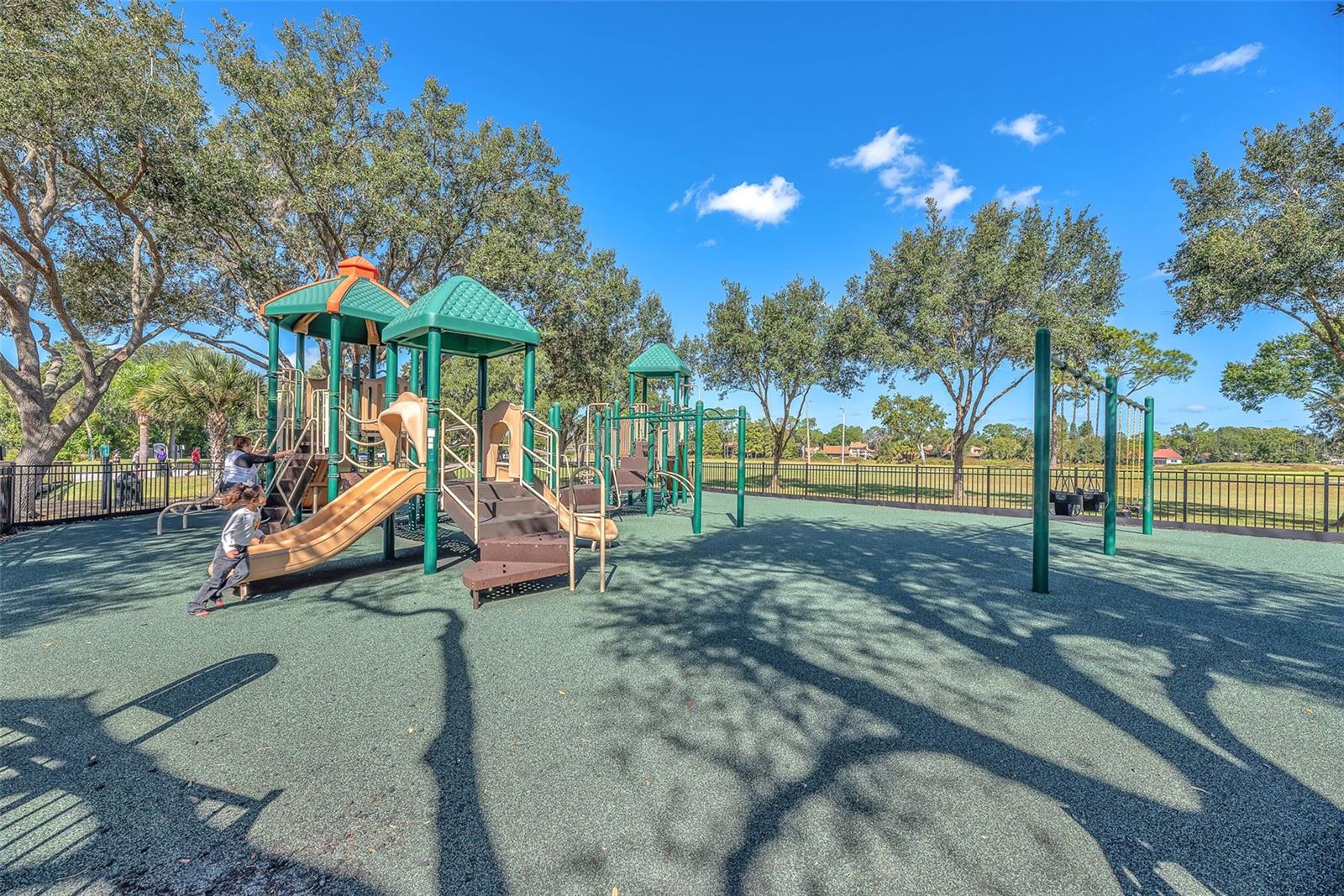 THE PADDOCKS PH II - Residential