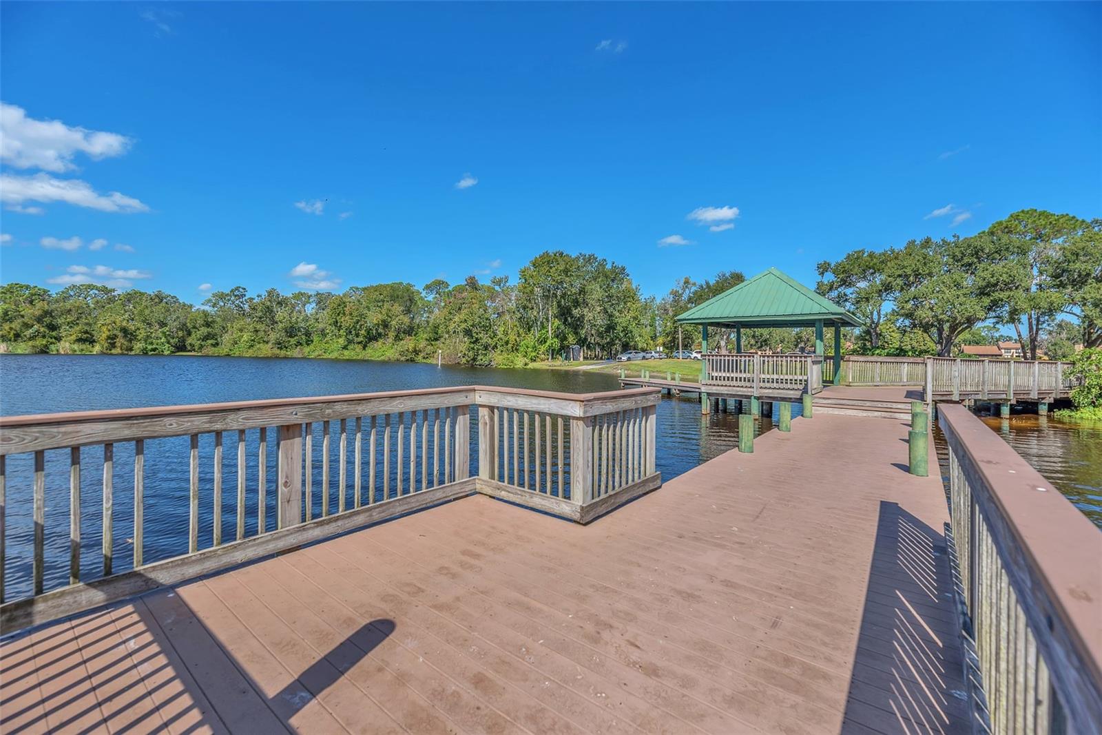 THE PADDOCKS PH II - Residential