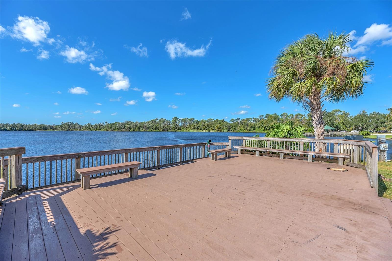 THE PADDOCKS PH II - Residential