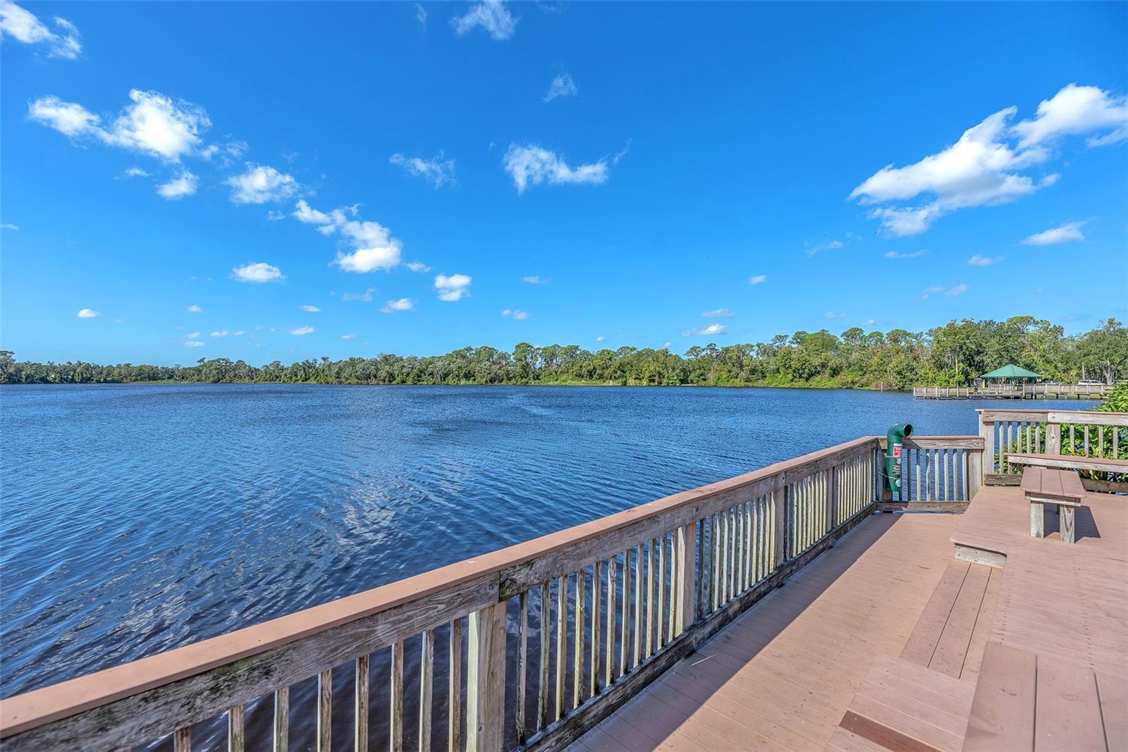 THE PADDOCKS PH II - Residential