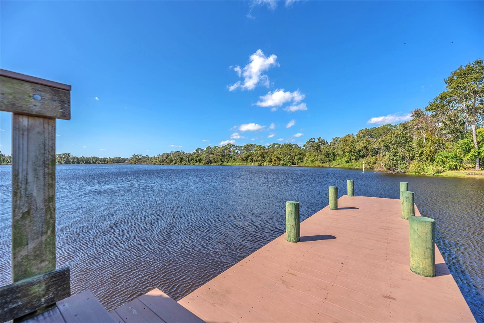 THE PADDOCKS PH II - Residential