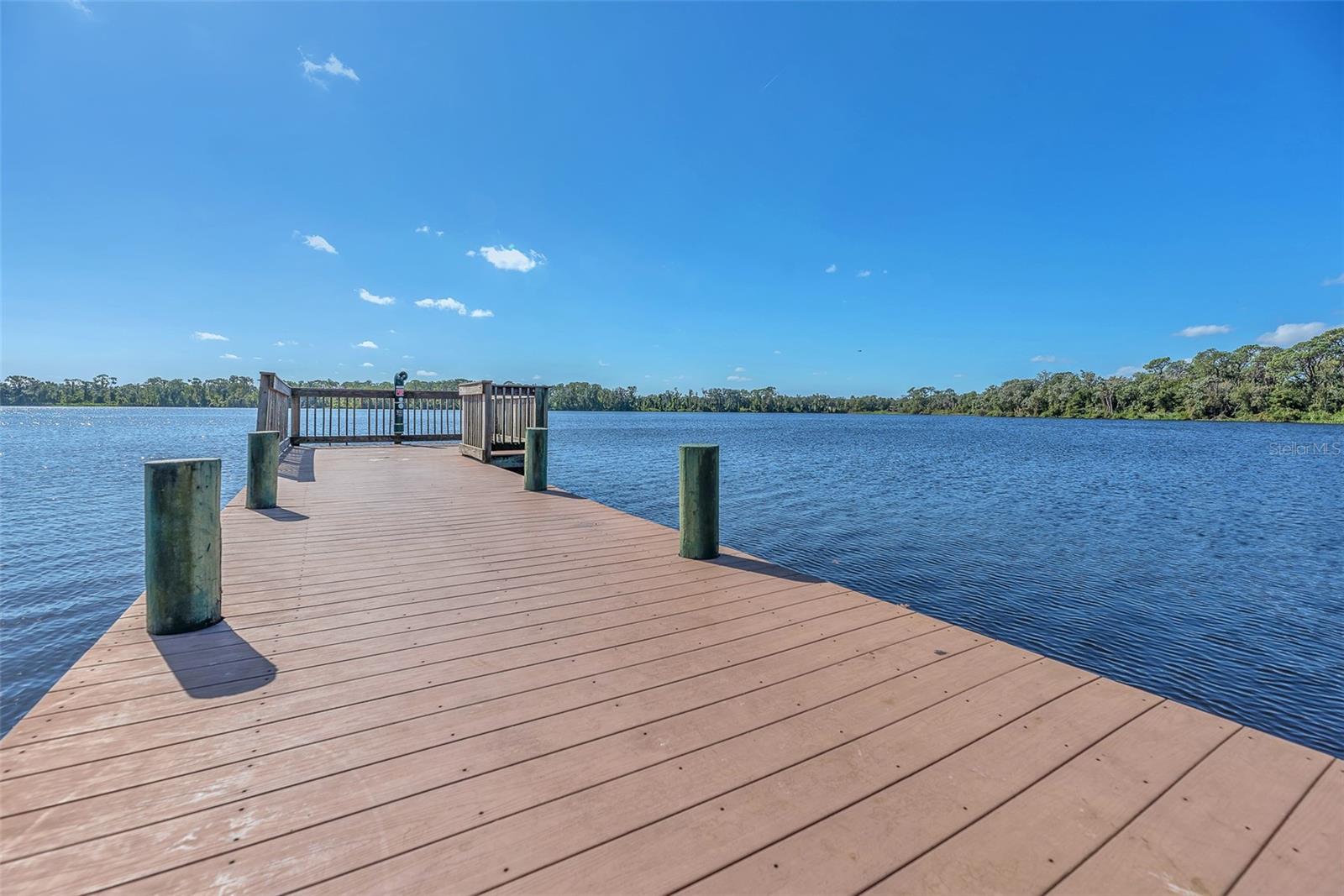 THE PADDOCKS PH II - Residential