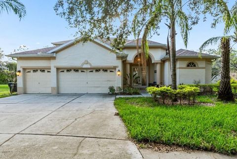 Photo of 2425 Blue Stone Court, Valrico, FL 33594 (MLS # O6397937)