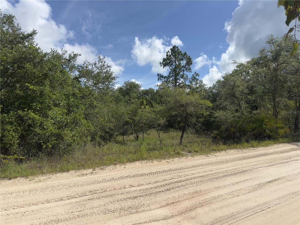 Photo of 8389 SW 155th Street, Dunnellon, FL 34432 (MLS # O6417003)