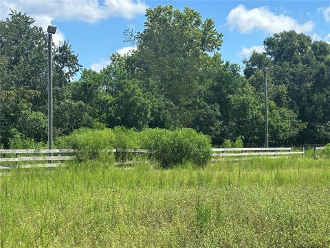 Tiny photo for 10553 NE 36th Avenue, Anthony, FL 32617 (MLS # L4960181)