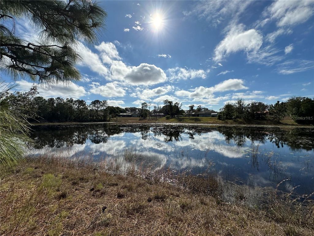 Photo of 8362 Eric Street, Spring Hill, FL 34608 (MLS # A4687455)