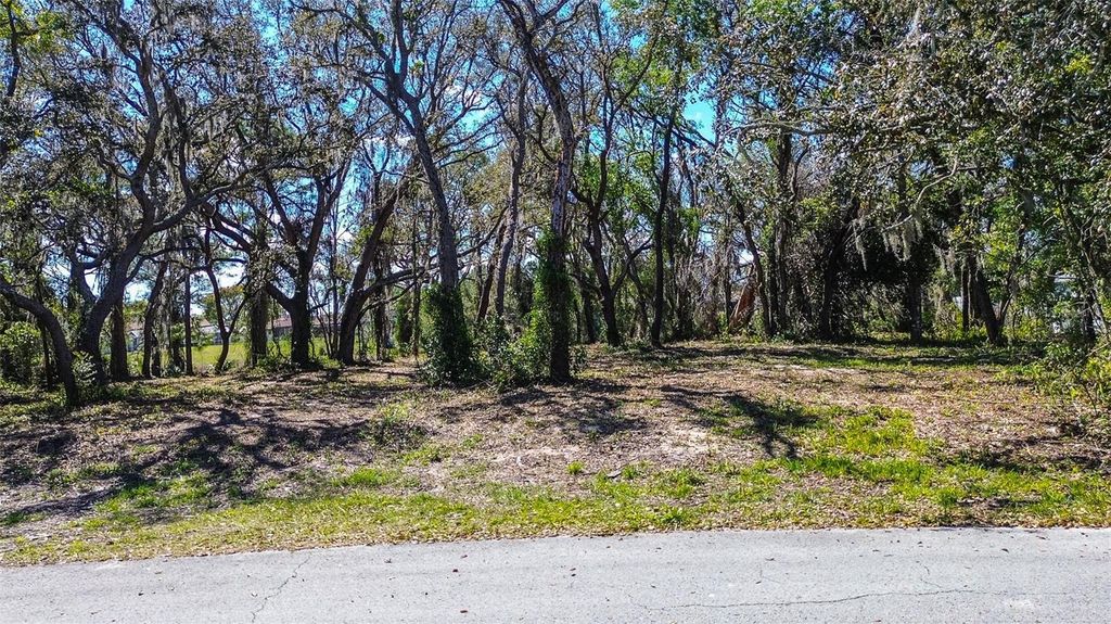 Photo of 8362 Eric Street, Spring Hill, FL 34608 (MLS # A4687455)