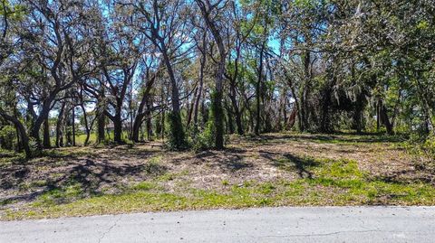 8362 ERIC STREET SPRING HILL FL 34608