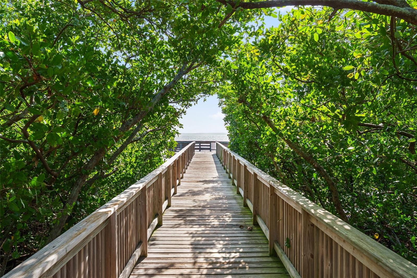 BAYSHORE POINTE TWNHMS PHAS - Residential