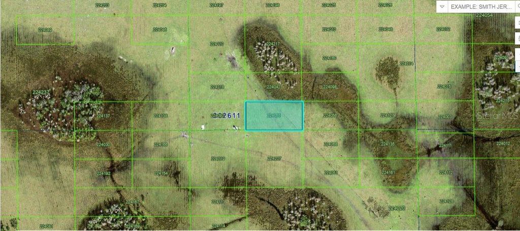 Photo of N/A, Polk City, FL 33868 (MLS # O6228318)