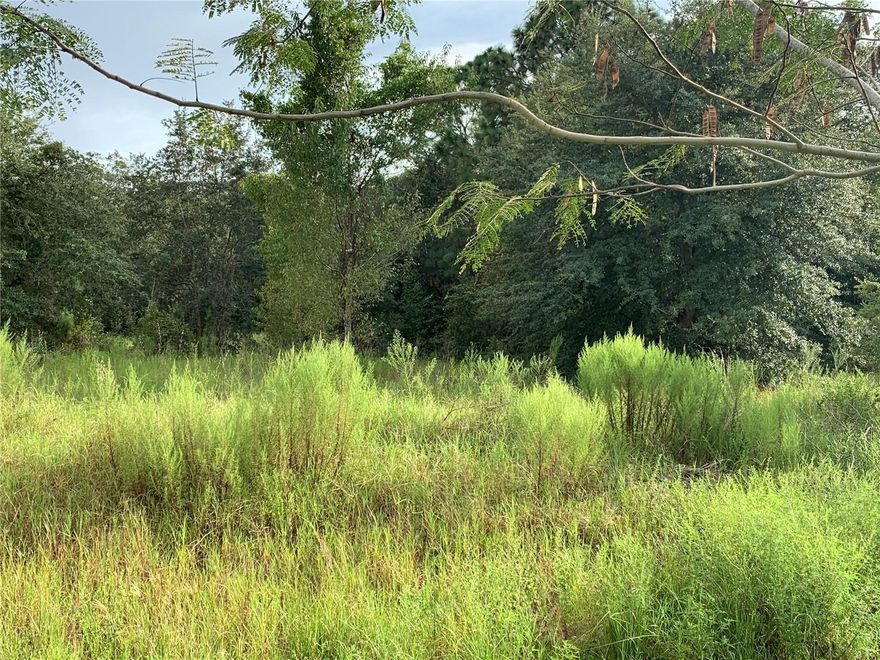 1.62 acres available. Great location! Tucked away with no HOA but close to shopping, grocery stores, medical / hospital. Access to lot is limited since the road is overgrown. Closest access point is at the very end of SW 54th Ct, Ocala, FL 34476. Will have to park car there and take trail to the left and walk approximately 585 ft to beginning of property line. Front of property line goes an additional approximate 575 ft.
