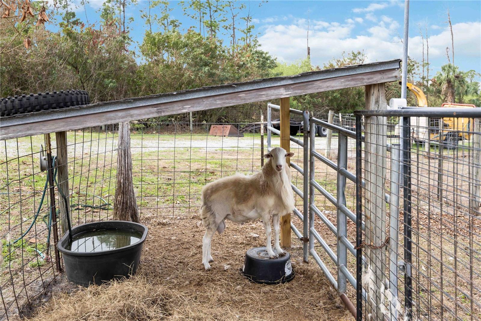 NORTH PORT CHARLOTTE ESTATES ADD 01 - Residential