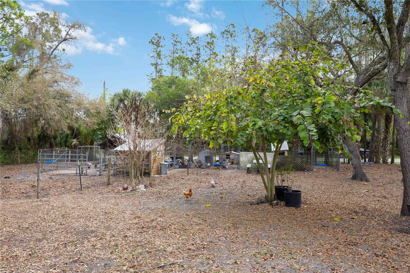 NORTH PORT CHARLOTTE ESTATES ADD 01 - Residential