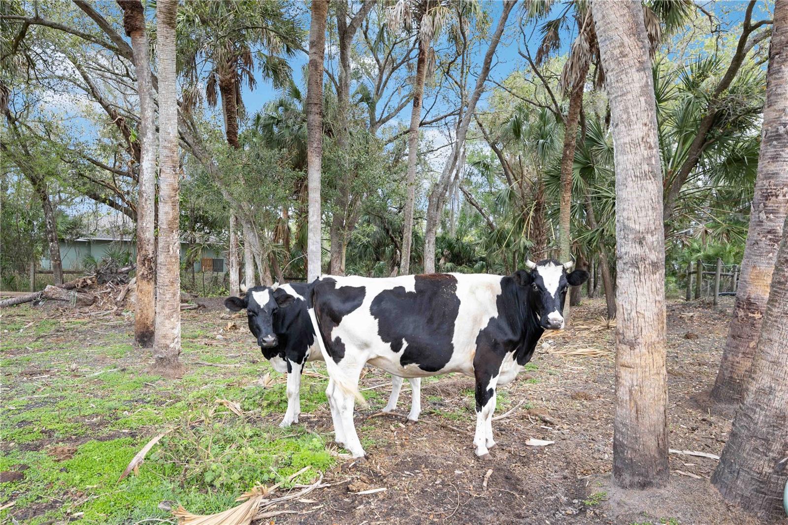 NORTH PORT CHARLOTTE ESTATES ADD 01 - Residential