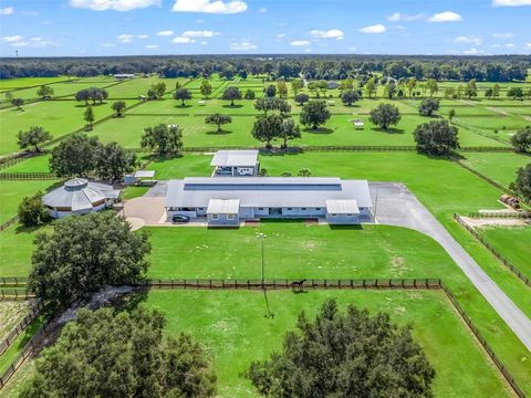 1350 NE 105TH LANE ANTHONY FL 32617