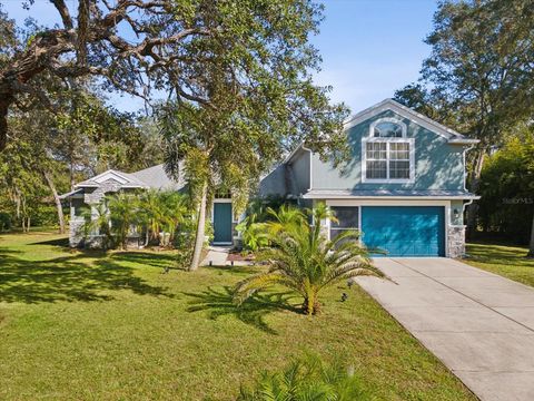 A home in SPRING HILL