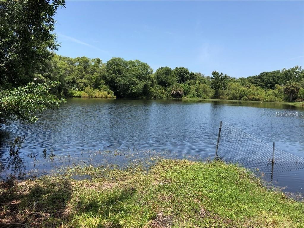 Photo of 1900 Virginia Avenue, Tarpon Springs, FL 34689 (MLS # TB8466854)