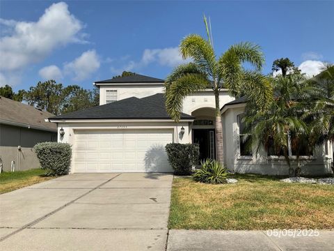 27353 EDENFIELD DRIVE WESLEY CHAPEL FL 33544