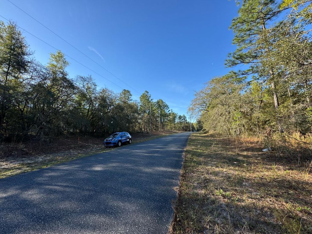 Photo of 8161 N Triana Drive, Citrus Springs, FL 34434 (MLS # O6311246)