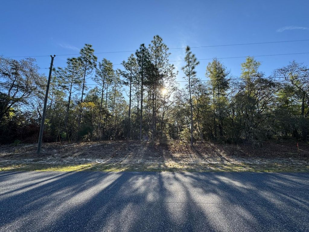 Photo of 8161 N Triana Drive, Citrus Springs, FL 34434 (MLS # O6311246)