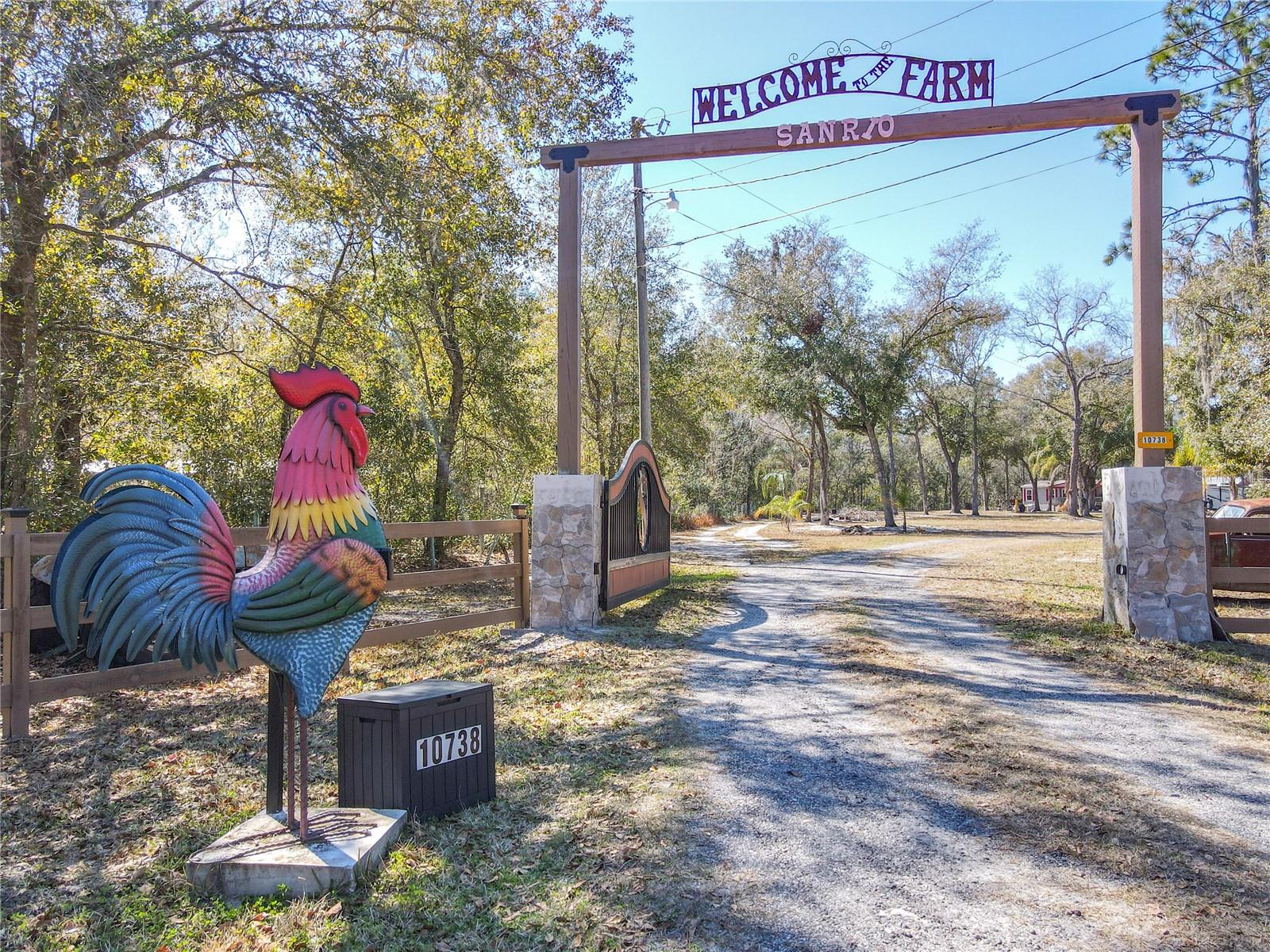 10738 COUNTRY VIEW DRIVE