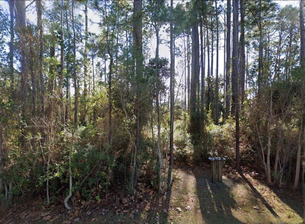Photo of Lauren Lane, Santa Rosa Beach, FL 32459 (MLS # TB8561195)