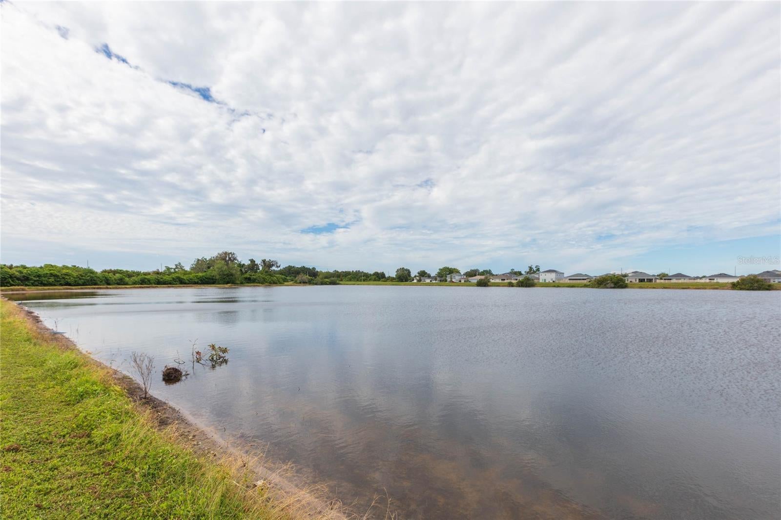 11933 DOWNY BIRCH DRIVE, RIVERVIEW, FL, 33569 4 11933 DOWNY BIRCH DRIVE