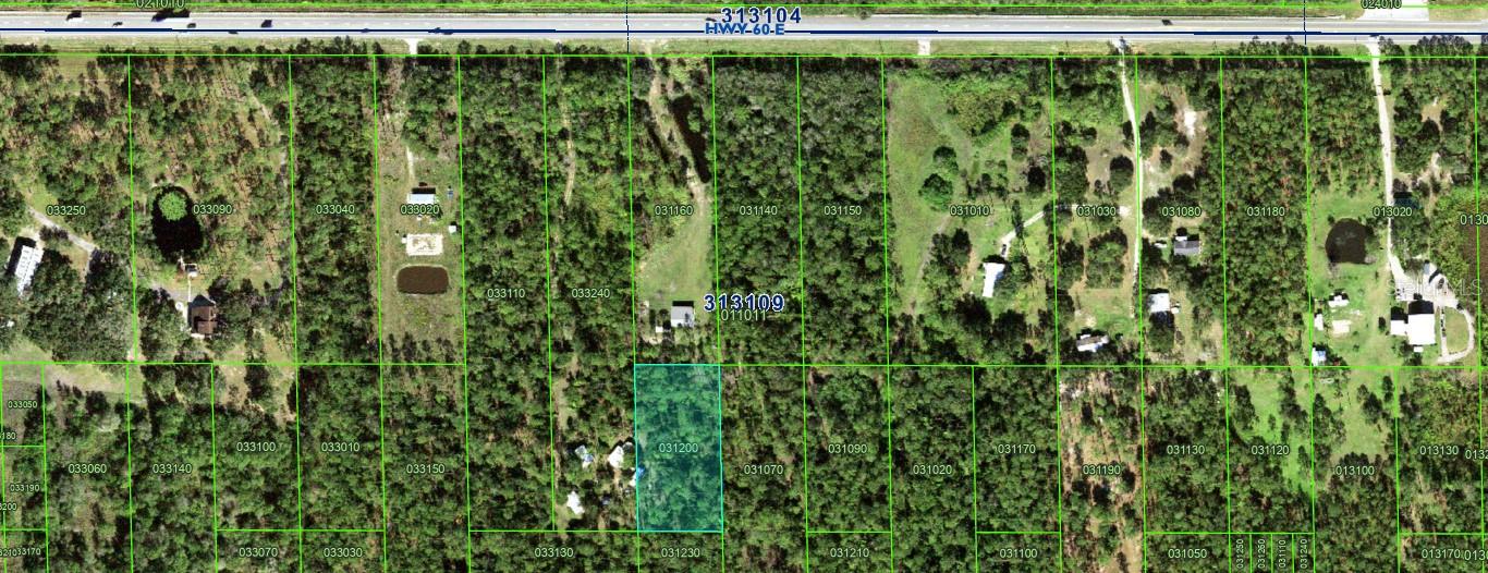 This 1.28 acre parcel of land is located in Central Florida's River Ranch area. A private gated community that offers owners and members exclusive access to 44,000 acres of unspoiled nature. Enjoy a variety of outdoor activities including ATV / 4-wheeler mudding, trail riding, hunting, fishing, primitive camping and archery. This community is perfect for adventurers and nature lovers. This lot is not buildable and is inaccessible.